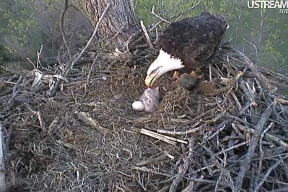 ScreenHunter_08 Mar. 29 20.19.jpg